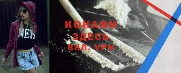 гашик Кулебаки