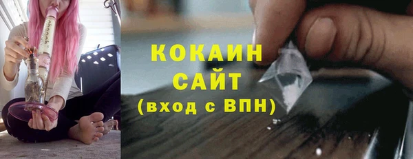 гашик Кулебаки