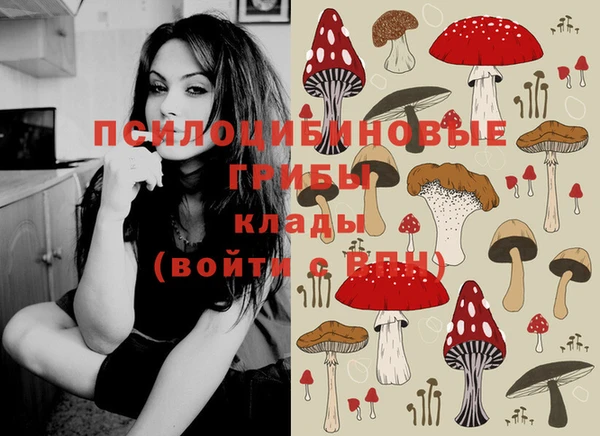 наркотики Ладушкин