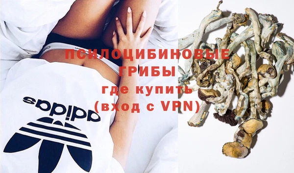 гашик Кулебаки
