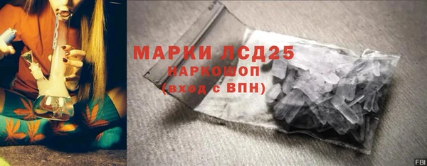 гашик Кулебаки