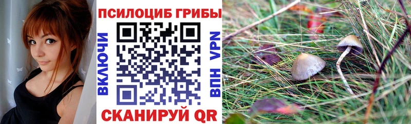Галлюциногенные грибы ЛСД  Купить где  Красный Сулин 